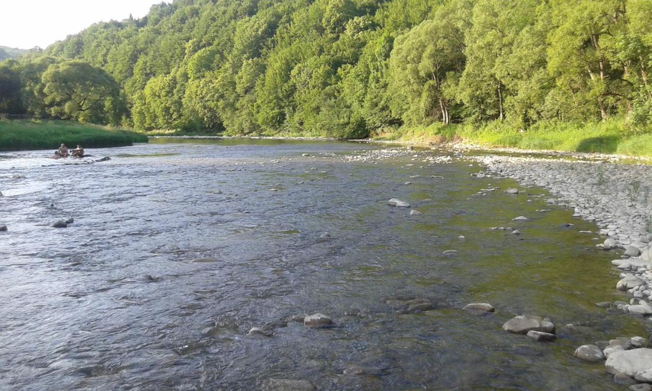 Wichrowe Wzgorze Bieszczady * Bukówiec